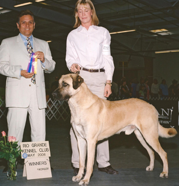 Elyse at Rio Grande Kennel Club dog show